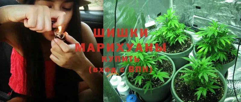 Каннабис White Widow  даркнет сайт  Избербаш 